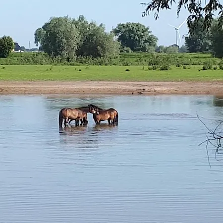 Logeren Aan De Uiterwaarden * Beneden-Leeuwen