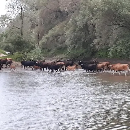 Logeren Aan De Uiterwaarden Beneden-Leeuwen