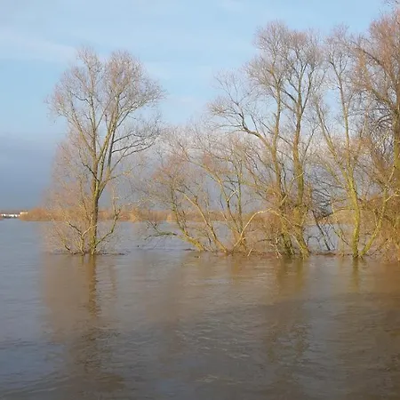 Apartment Logeren Aan De Uiterwaarden